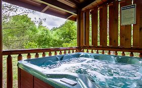 Alpenhaus Cozy Log Cabin - 2 Bedrooms, Hot Tub, Amazing Location!